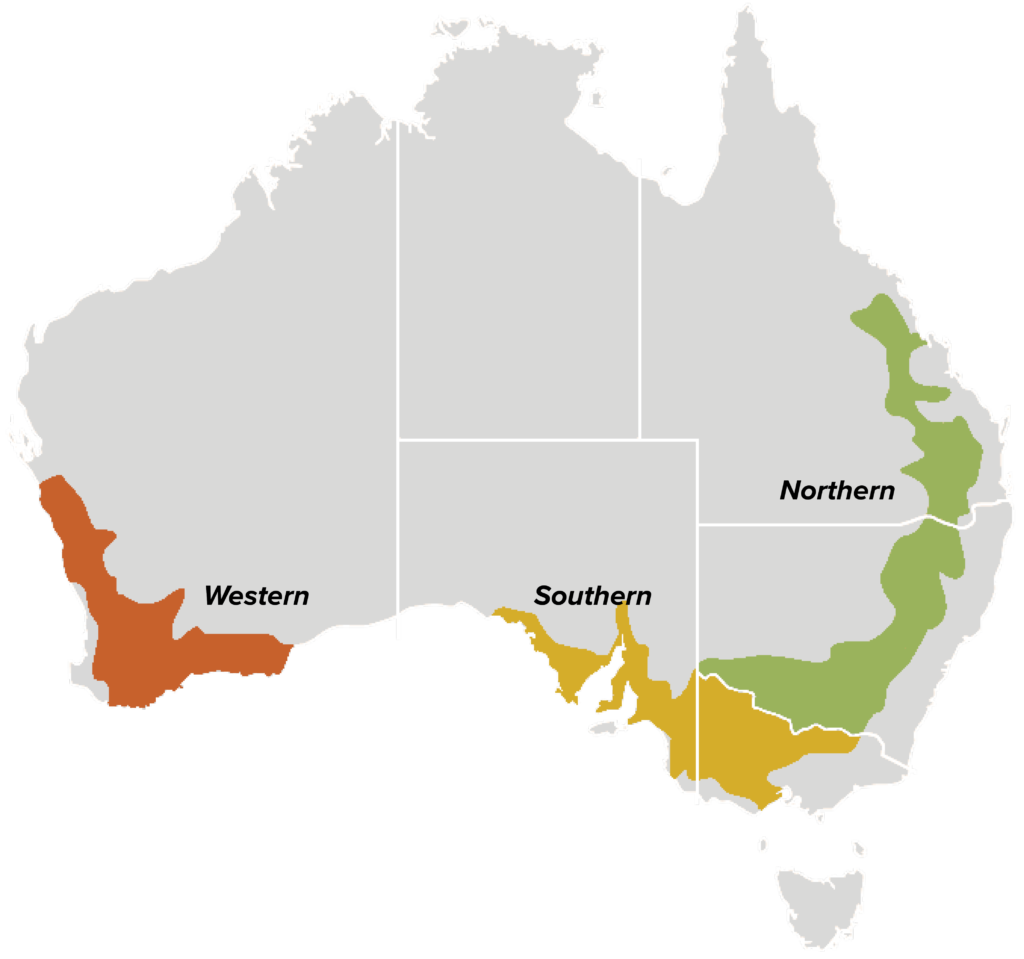 Grains - Grains Australia