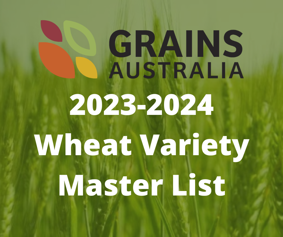 14 new varieties of wheat introduces for 20232024 Grains Australia